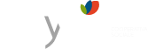onyva' logo